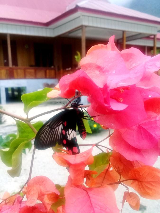 Nusa Nalan Beach Resort Rumah Olat Buitenkant foto